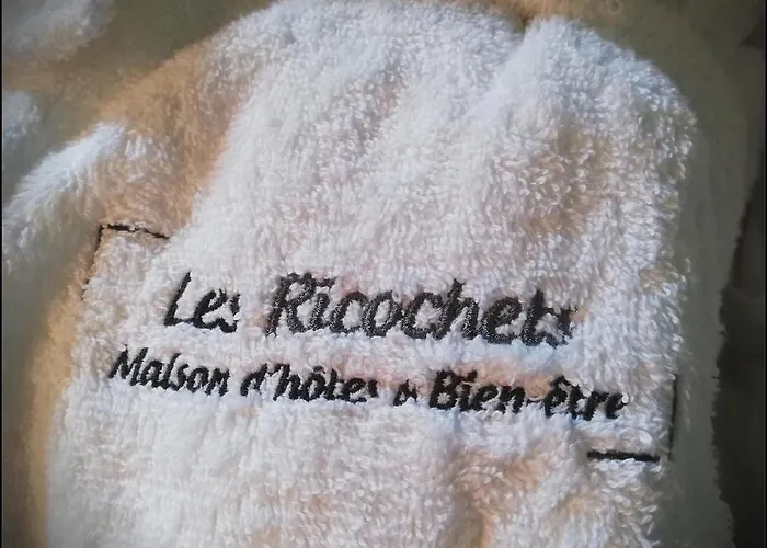Les Ricochets - 3*