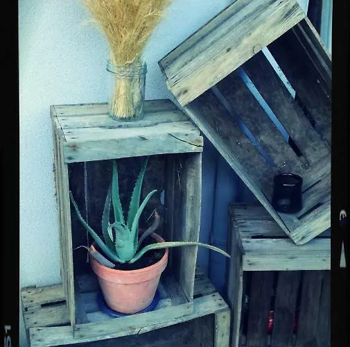 Les Ricochets - 3* Saint-Denis-lès-Martel