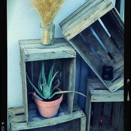 Les Ricochets - 3* Saint-Denis-lès-Martel