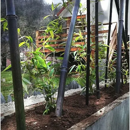 Maison d'hôtes Les Ricochets - Saint-Denis-lès-Martel